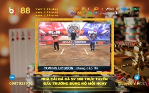 BJ88 - NHÀ CÁI ĐÁ GÀ BJ88 ĐẤU TRƯỜNG TRỰC TUYẾN BÙNG NỔ MỖI NGÀY
