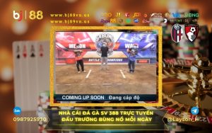 BJ88 nhà cái đá gà đấu trường trực tuyến bùng nổ mỗi ngày