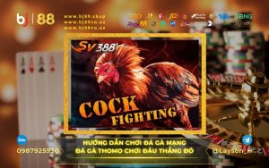 HƯỚNG DẪN CHƠI ĐÁ GÀ MẠNG - ĐÁ GÀ THOMO - CHƠI ĐÂU THẮNG ĐÓ TẠI SV388
